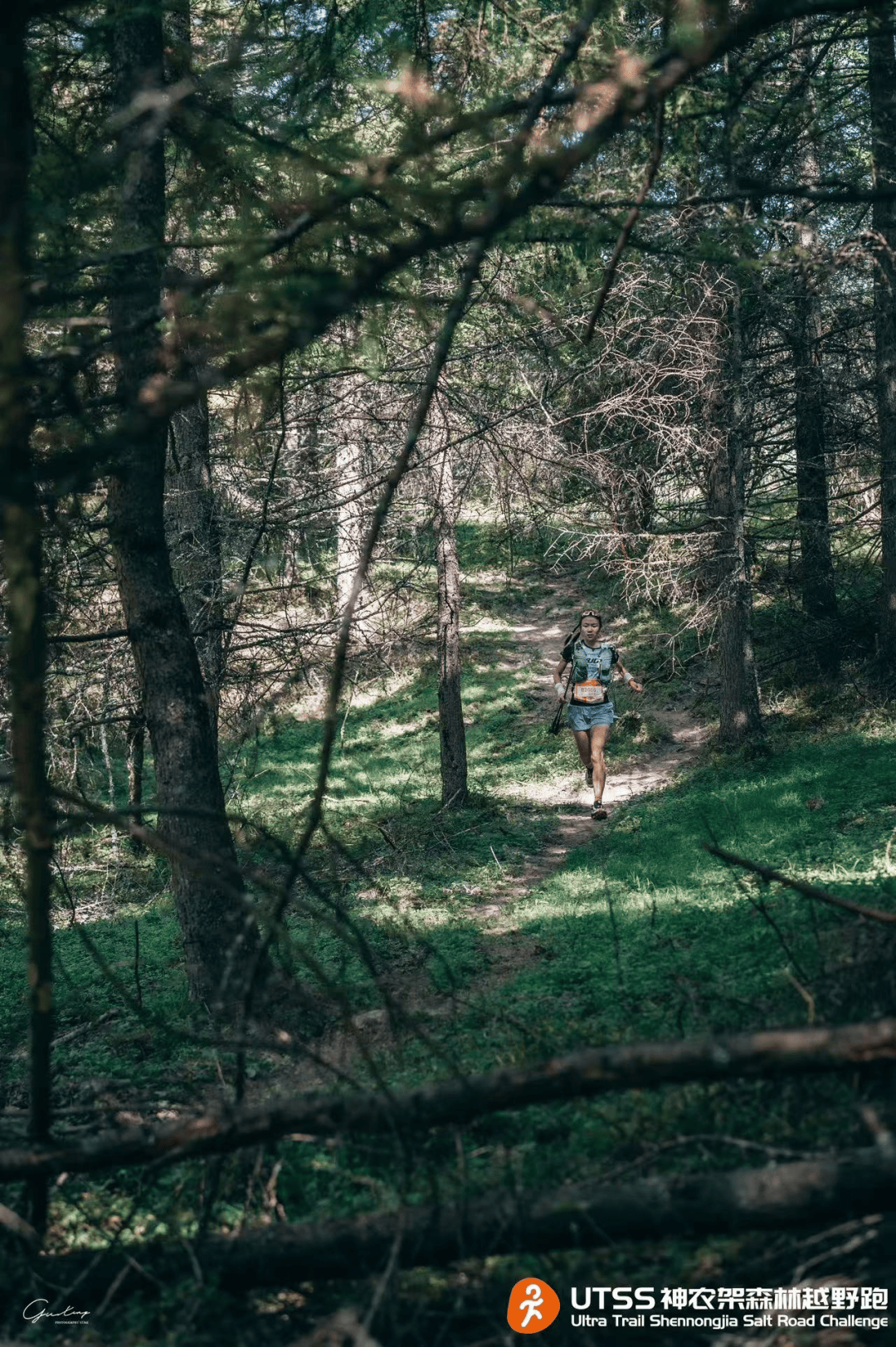 AYX GAME-包含特色森林越野跑，绿色生态中的速度与激情的词条