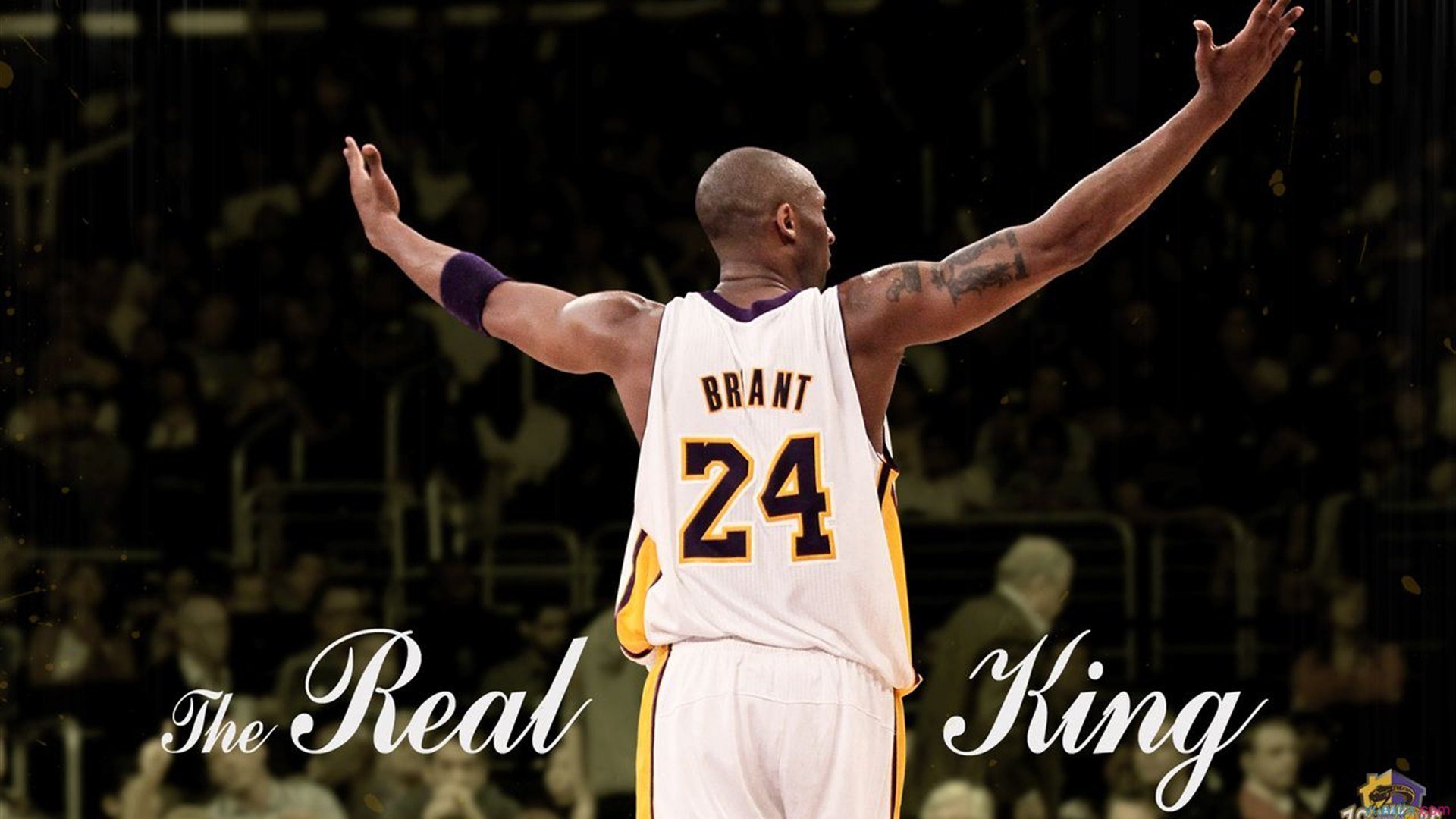 爱游戏体育平台-篮球职业联赛赛场智能监控系统完善，篮球比赛摄像机位图