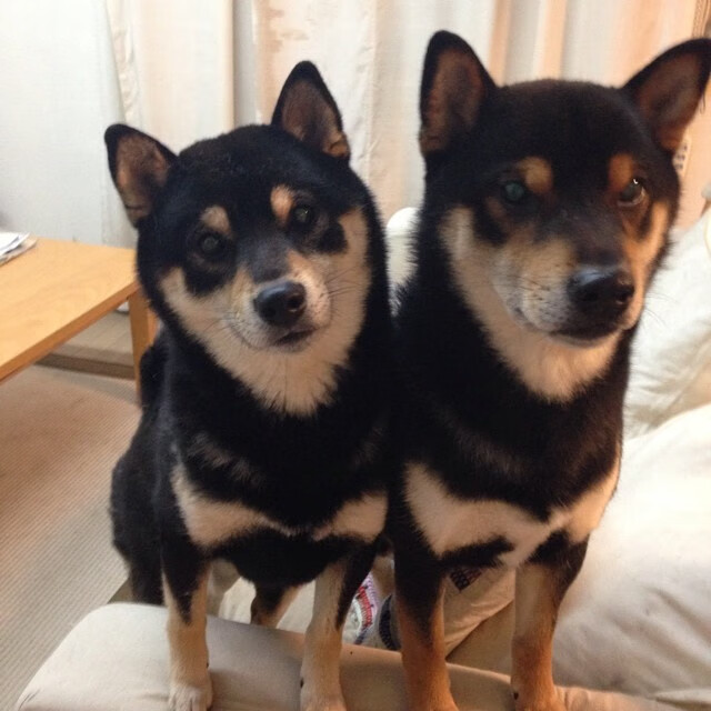 赛后城市庆典:文化狂欢盛事,赛事文化对城市发展的影响——以十四运为例