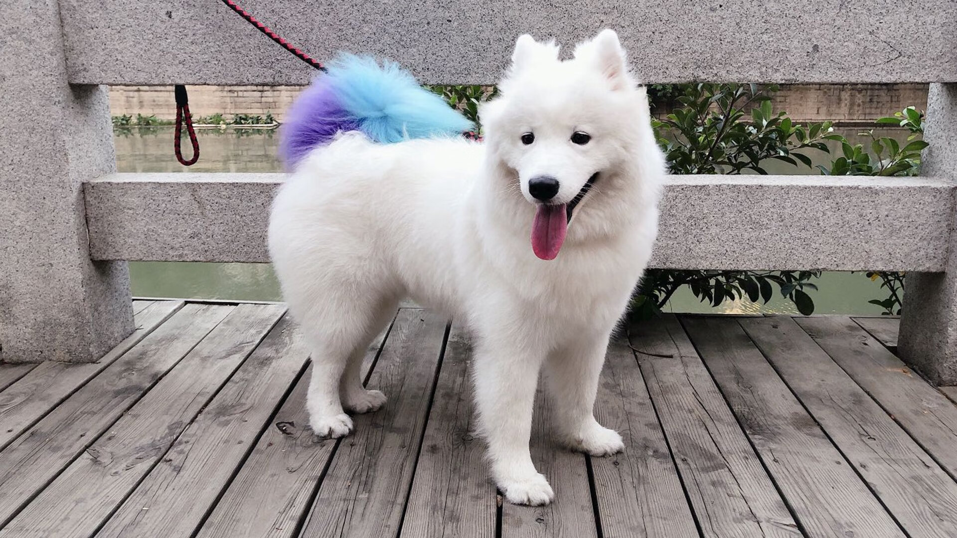 青少年足球技术大赛激烈进行,涌现潜力新星,青少年足球赛事有哪些