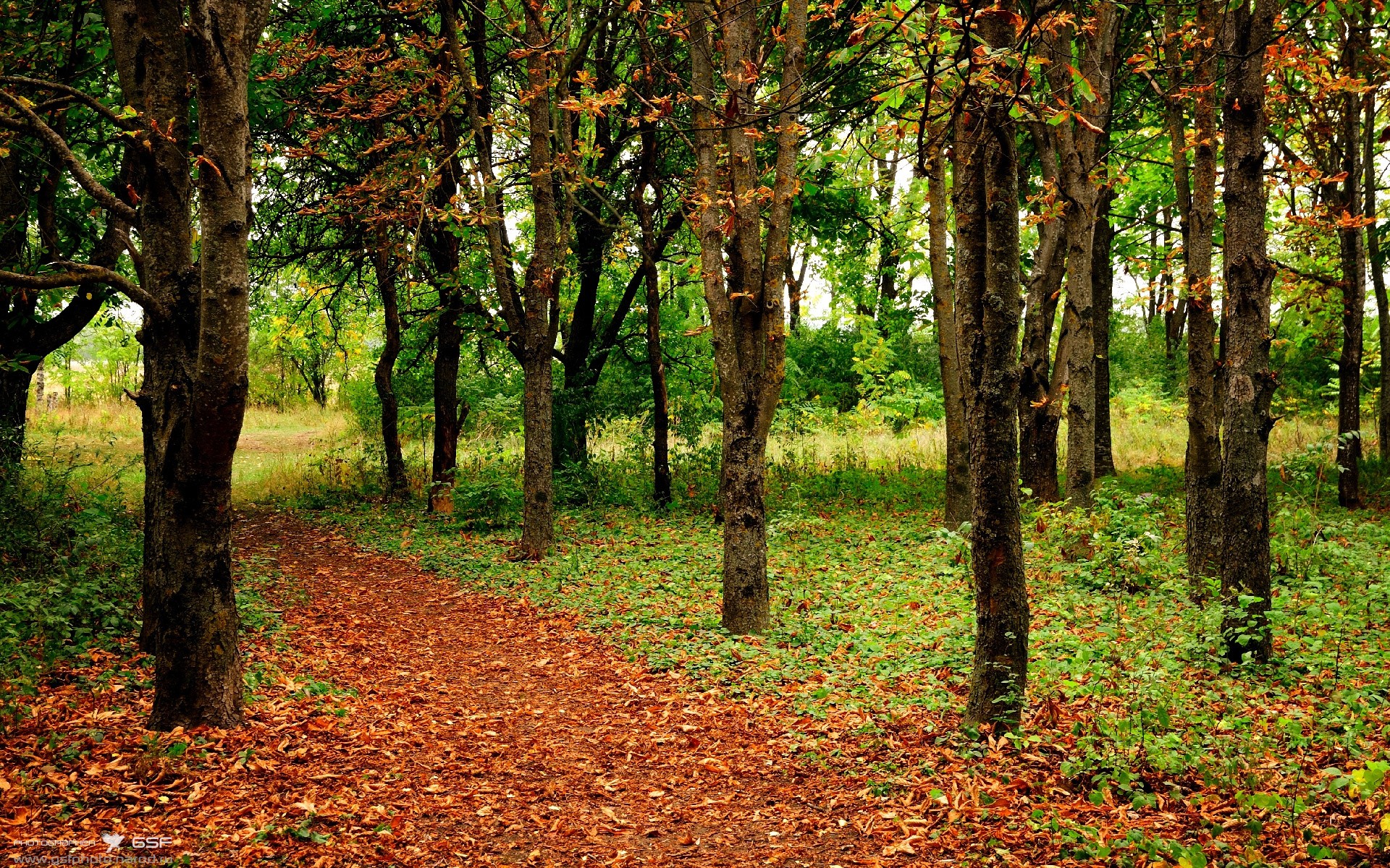 爱游戏中国官方网站平台-比利时主帅调整阵容，备战英格兰挑战者，比利时阵容2021主力阵容