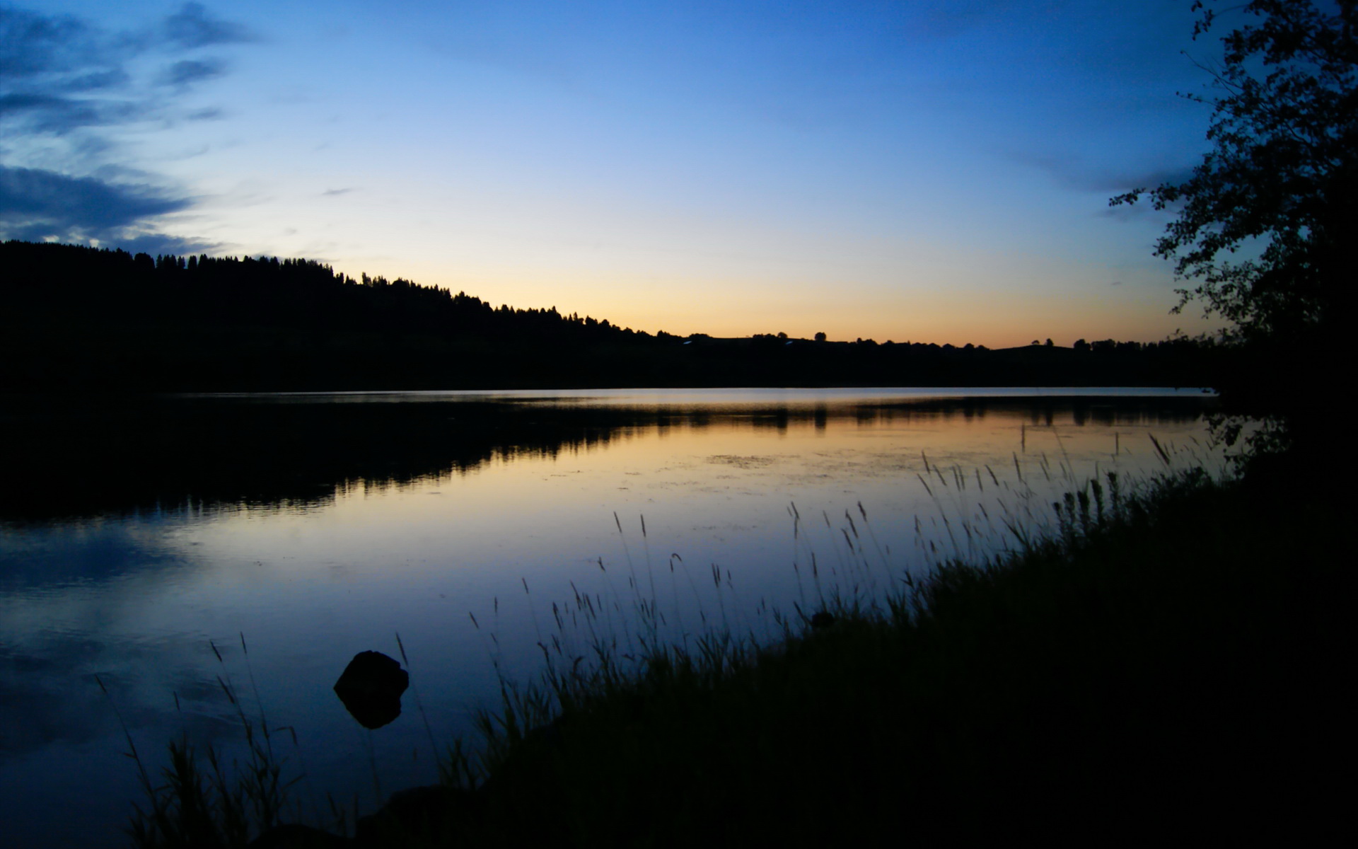 比利时举重队员表示:“我们将继续努力,为下届奥运会做好准备”