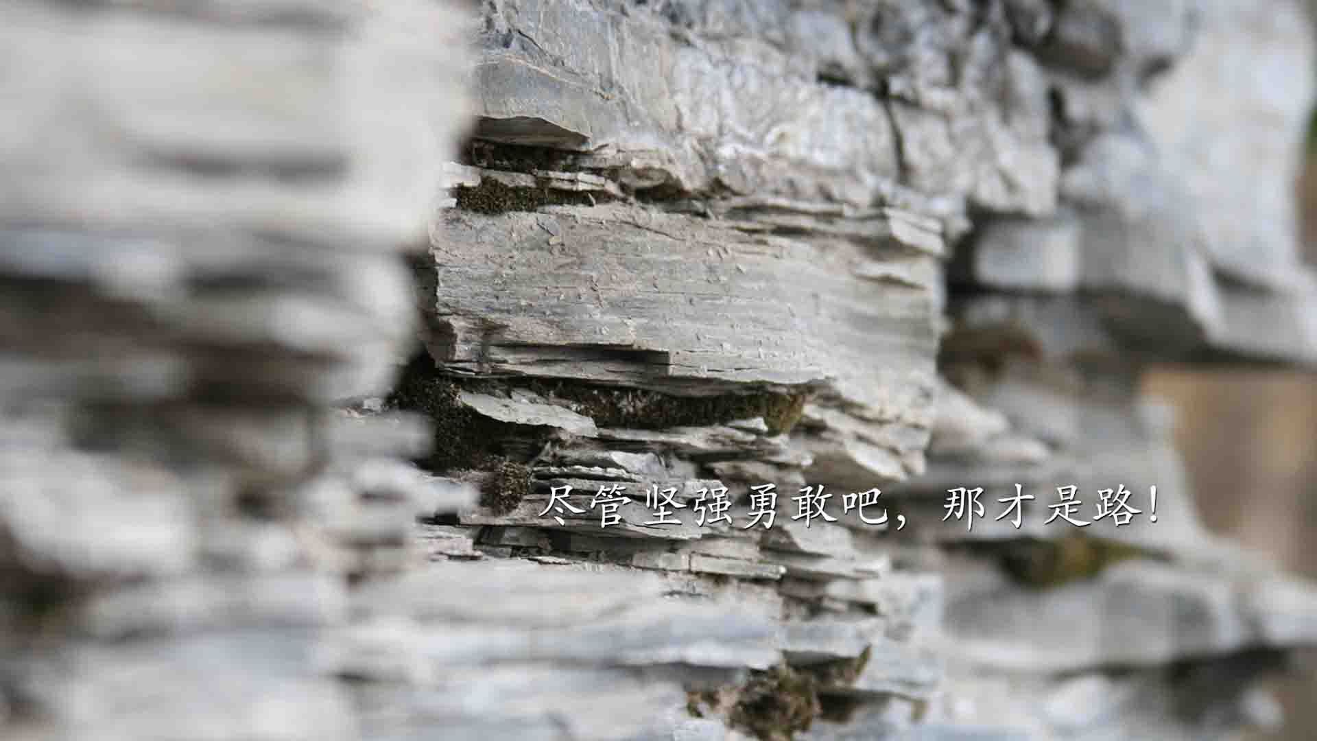 爱游戏娱乐网址-独行侠实现惊艳逆转，战胜小牛领先对手，独行侠进攻