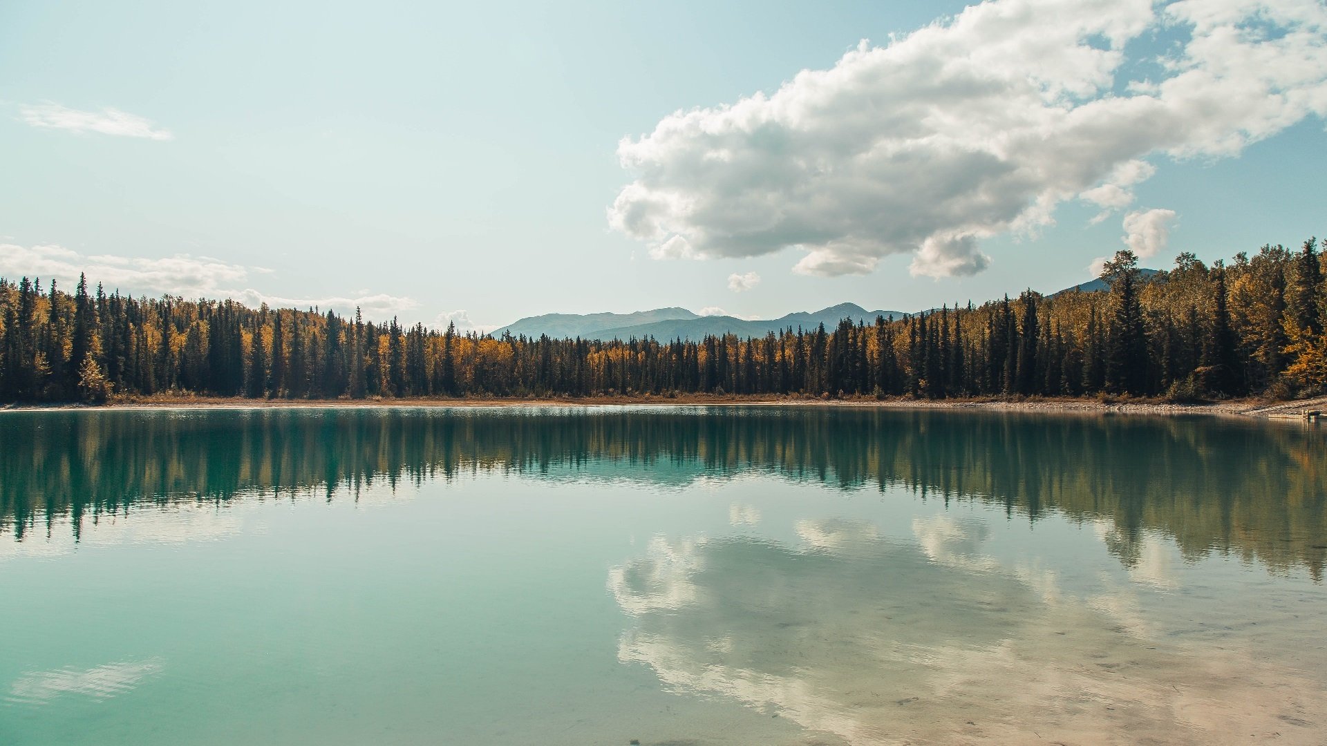 NBA球员全明星表现回顾,nba全明星成员介绍