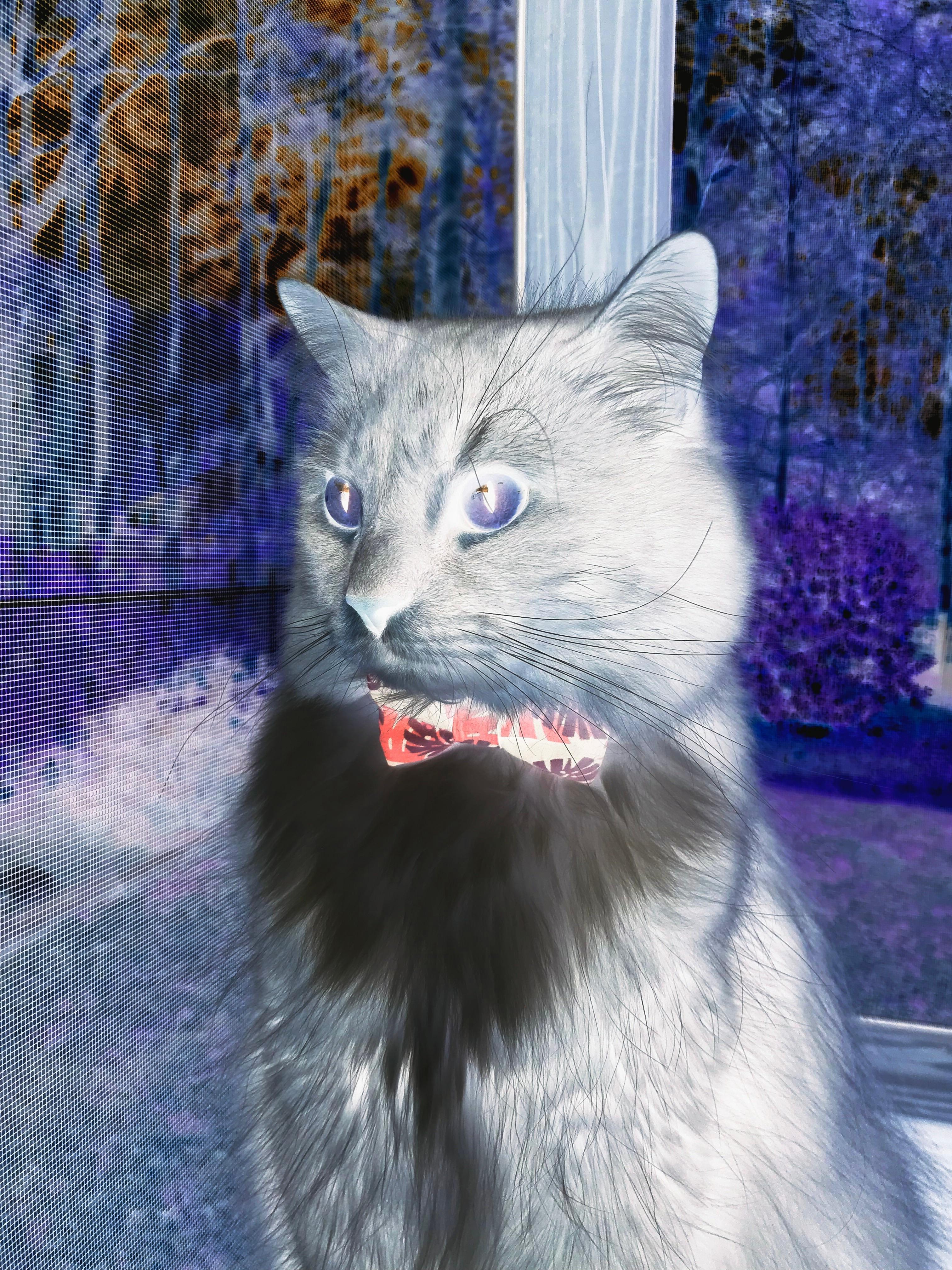 世界青少年冰壶锦标赛中国队再创佳绩,全国青年冰壶锦标赛