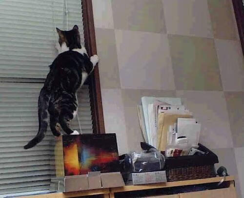 中国足球比赛场面控制指数分析,中国足球场次