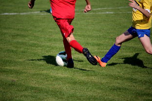 爱游戏app下载-中超球员比赛热度曲线与表现匹配模型，中超热身赛