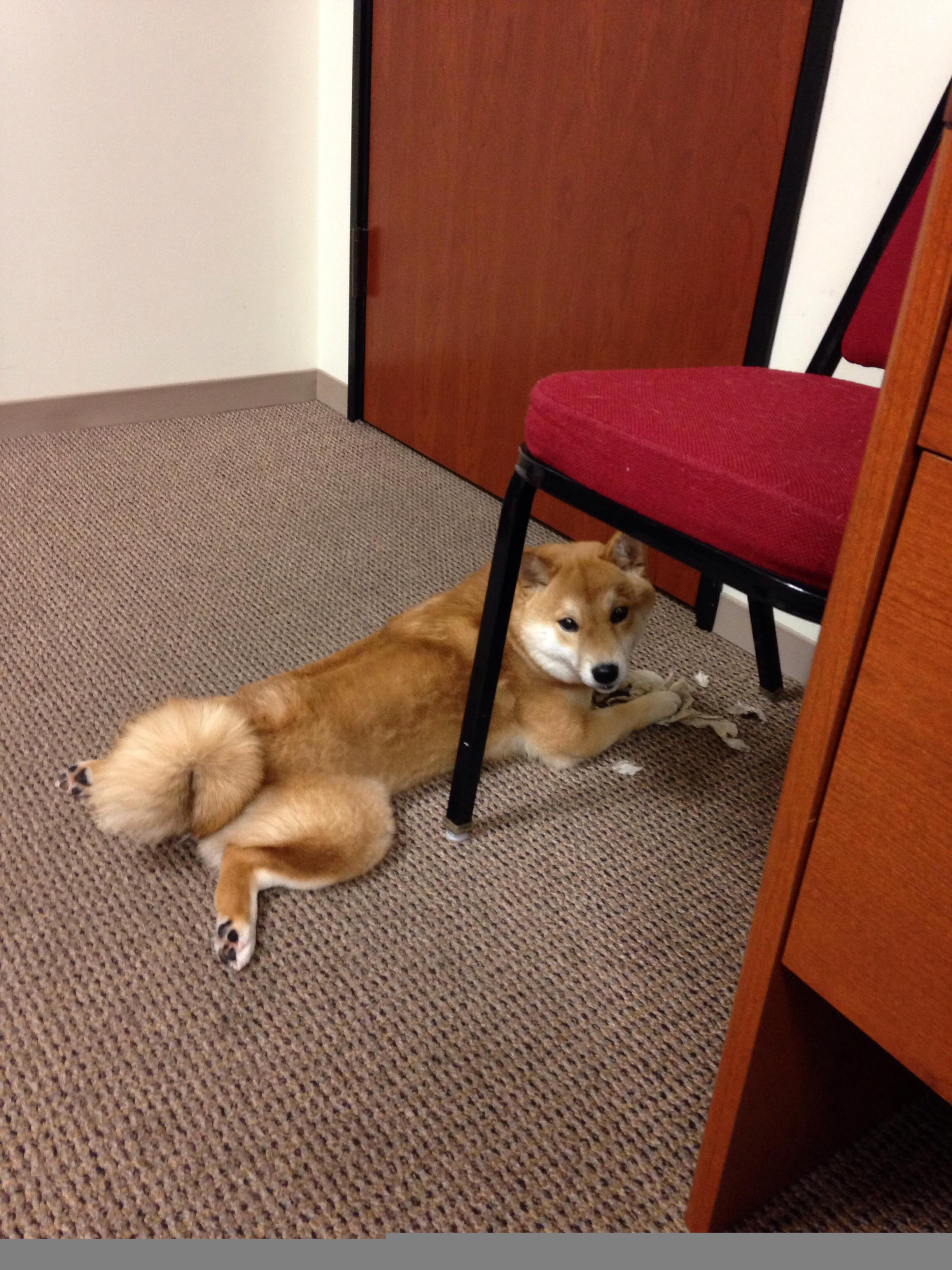 全国青少年马拉松赛南京站热力开启,2021南京马拉松赛