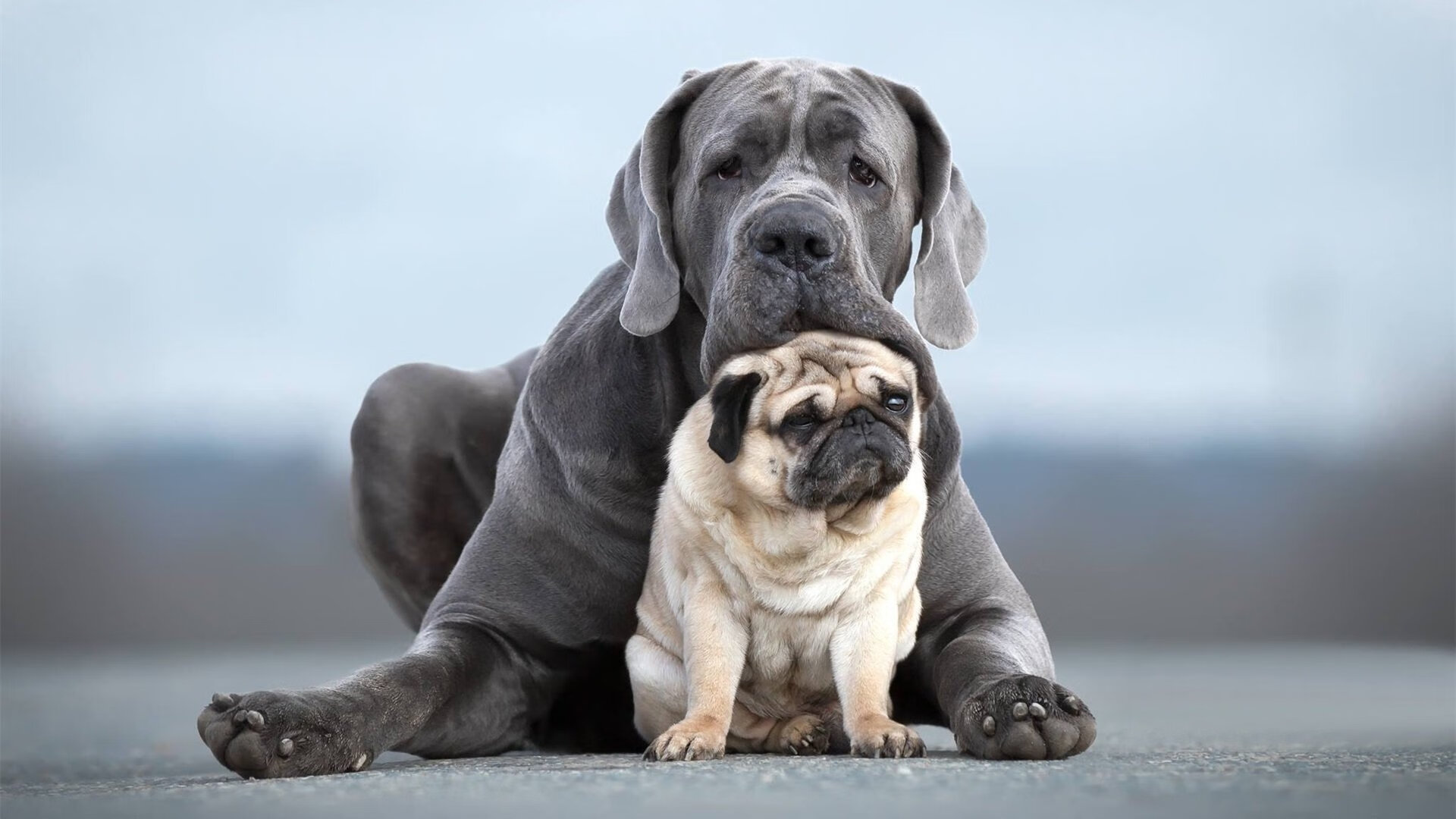 德甲青训心理韧性培养促进比赛压力应对能力