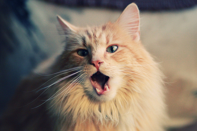 法甲球员赛后心率恢复监测促进科学训练调整，法甲水平如何