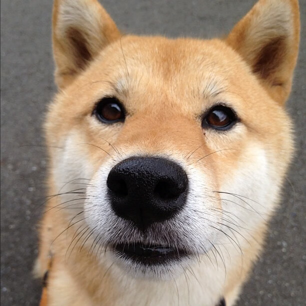 爱游戏app下载-赛季最动人瞬间：绝杀、惊天反转一览无遗，nba2020～2021赛季绝杀合集