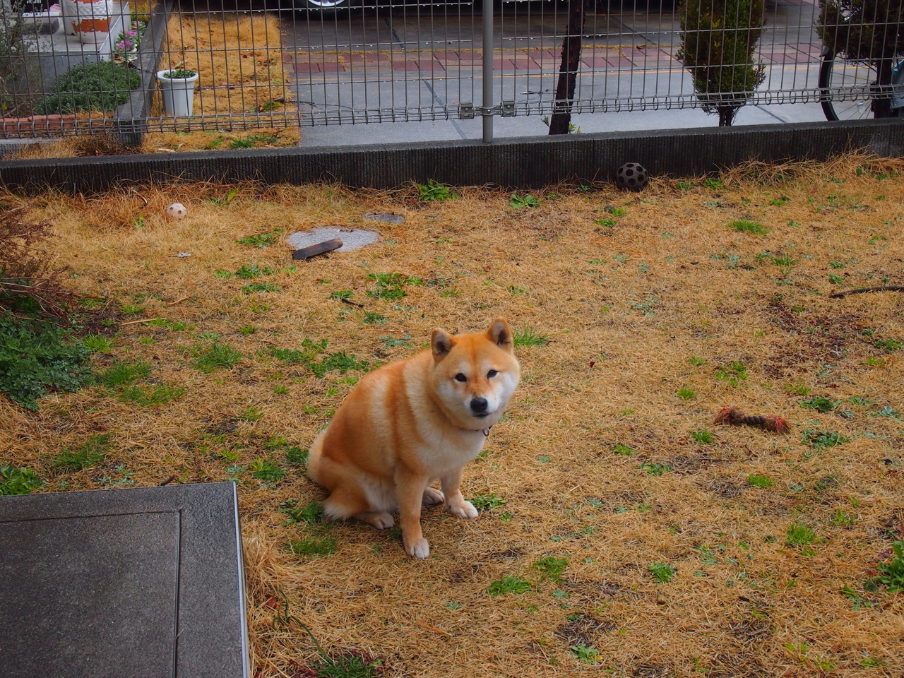 田径选手试水跨项挑战拓宽发展路径，田径项目突破