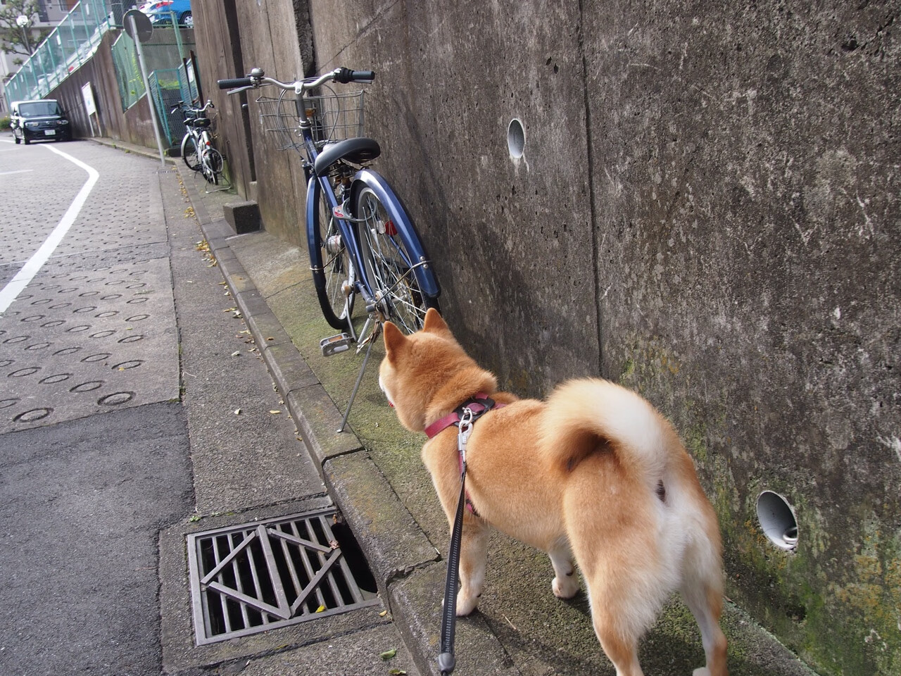 爱游戏 电竞-篮球公益活动深入社区推广健康生活方式和运动文化，篮球公益活动主题