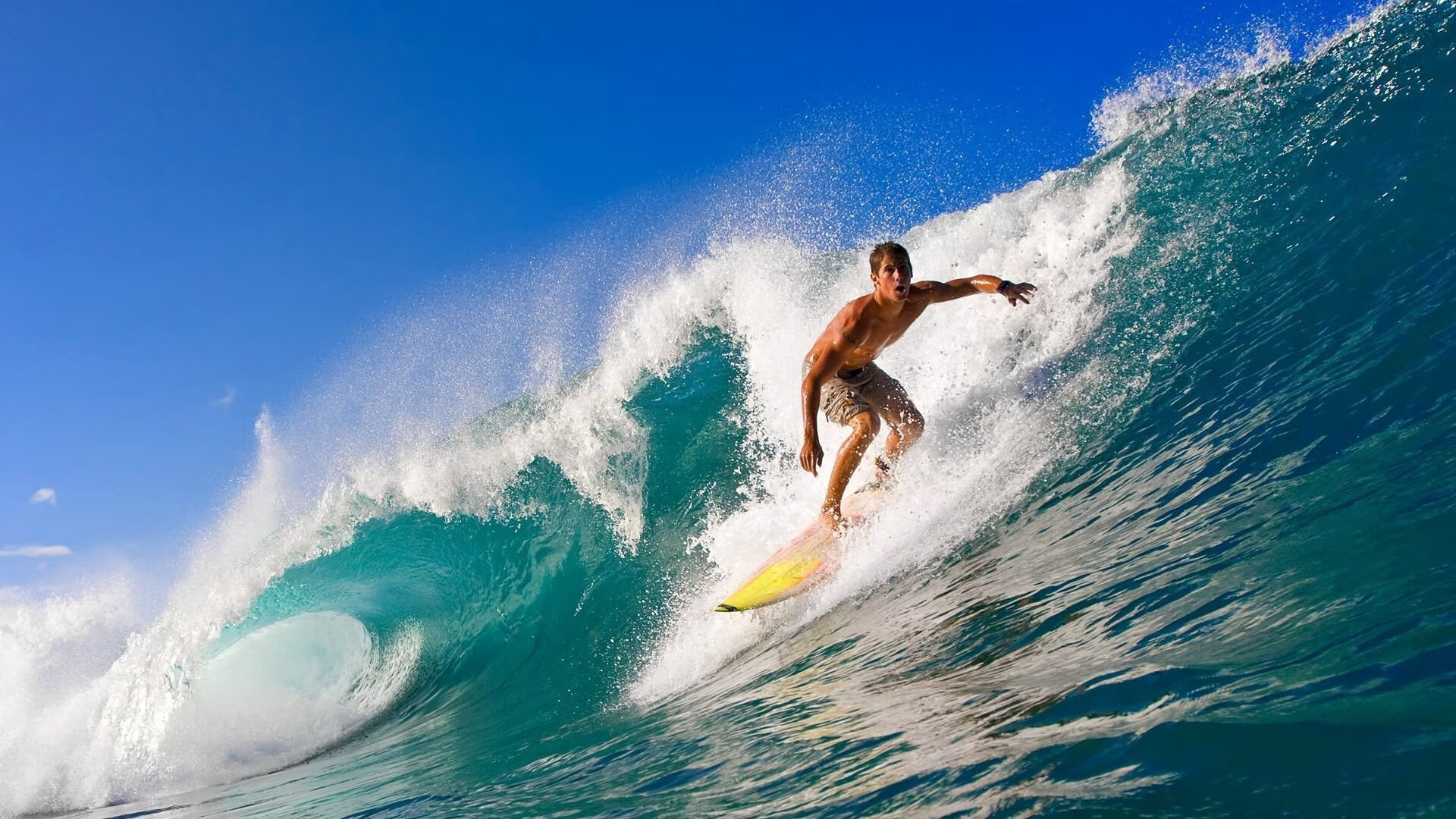 球迷投票：你认为本赛季最值得关注的明星，知名球迷